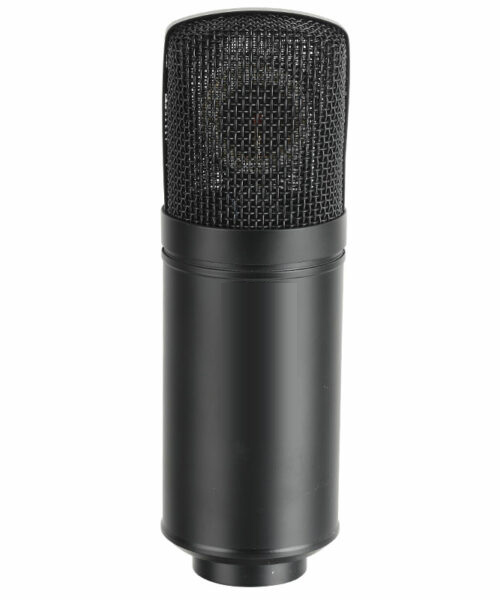 Tube Microphone TM1200L